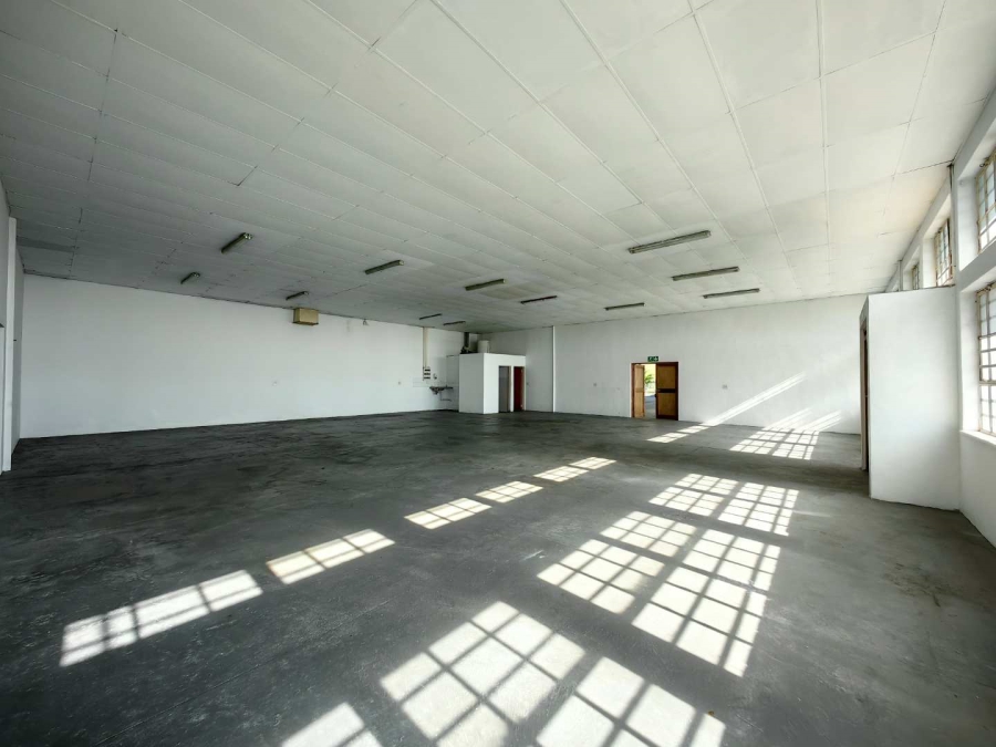 To Let commercial Property for Rent in University Estate Western Cape
